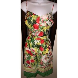 🍉Crown & Ivy Dress Red/Green Floral NWOT
